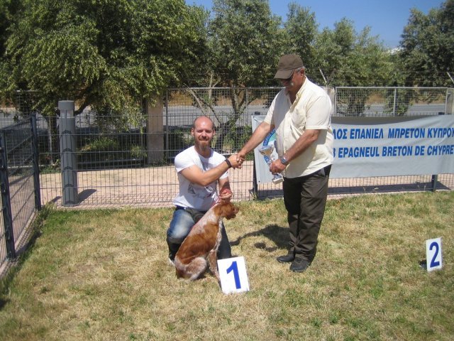 17th National Breed Show